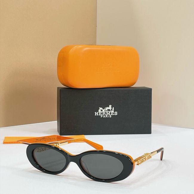 Hermes Sunglasses 821521-3