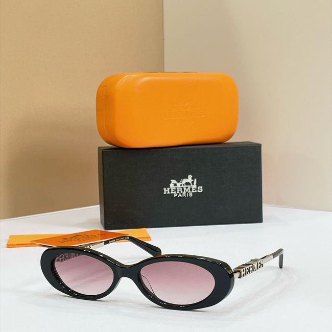 Hermes Sunglasses 821521-6