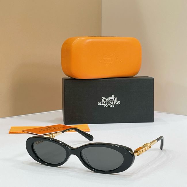 Hermes Sunglasses 821521-7