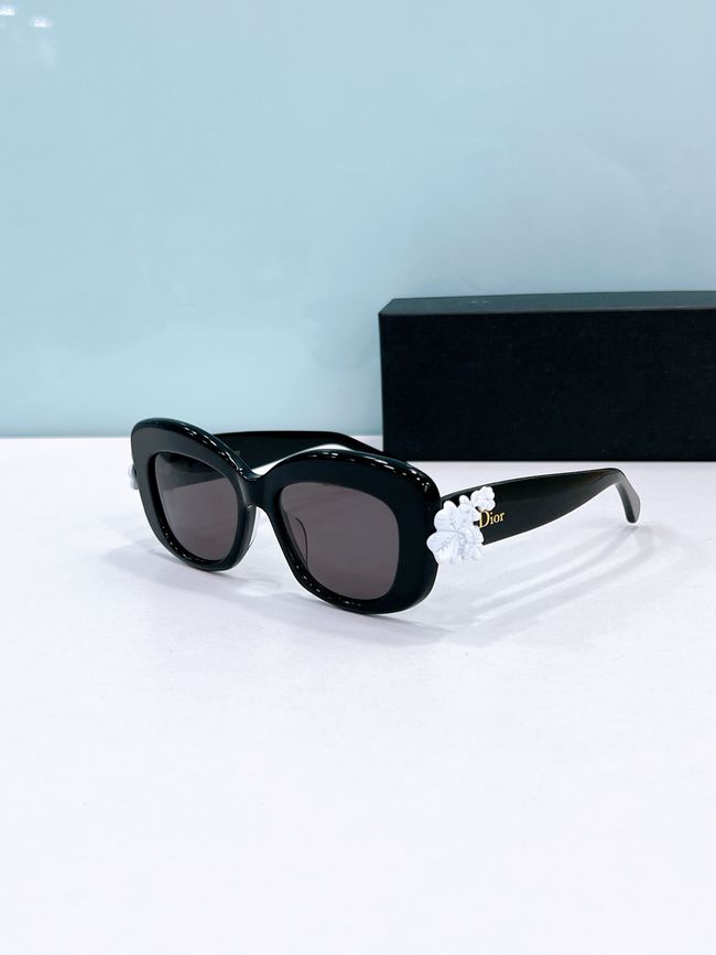Dior Sunglasses 821536-2 Dior Sunglasses 821536-2