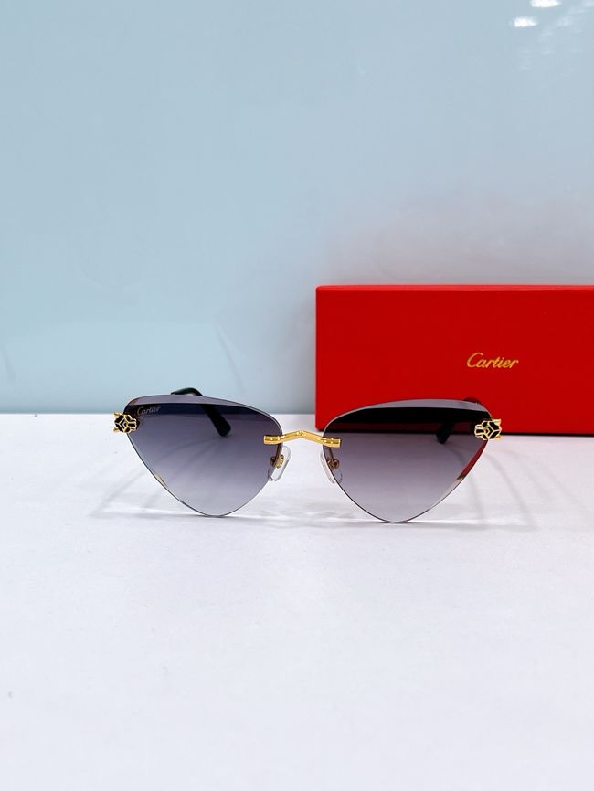 Cartier Sunglasses 821593-6