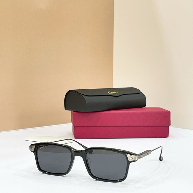 Cartier Sunglasses 821597-6 Cartier Sunglasses 821597-6