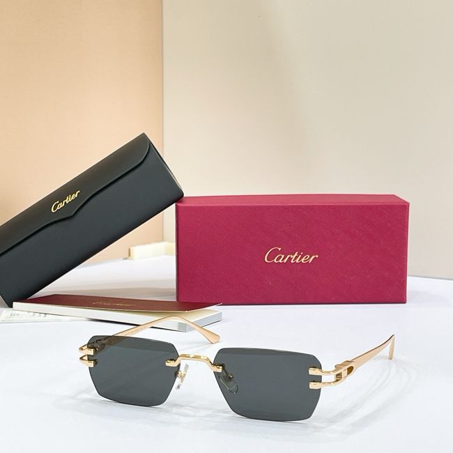Cartier Sunglasses 821599-2 Cartier Sunglasses 821599-2