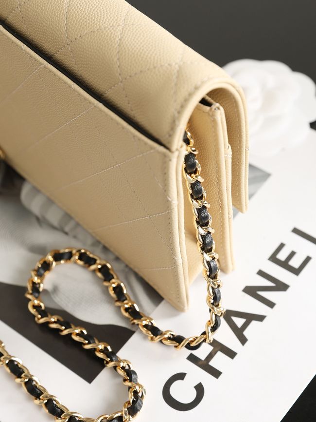 CHANEL Wallet on Chain AP5455 Beige & Black CHANEL Wallet on Chain AP5455 Beige & Black