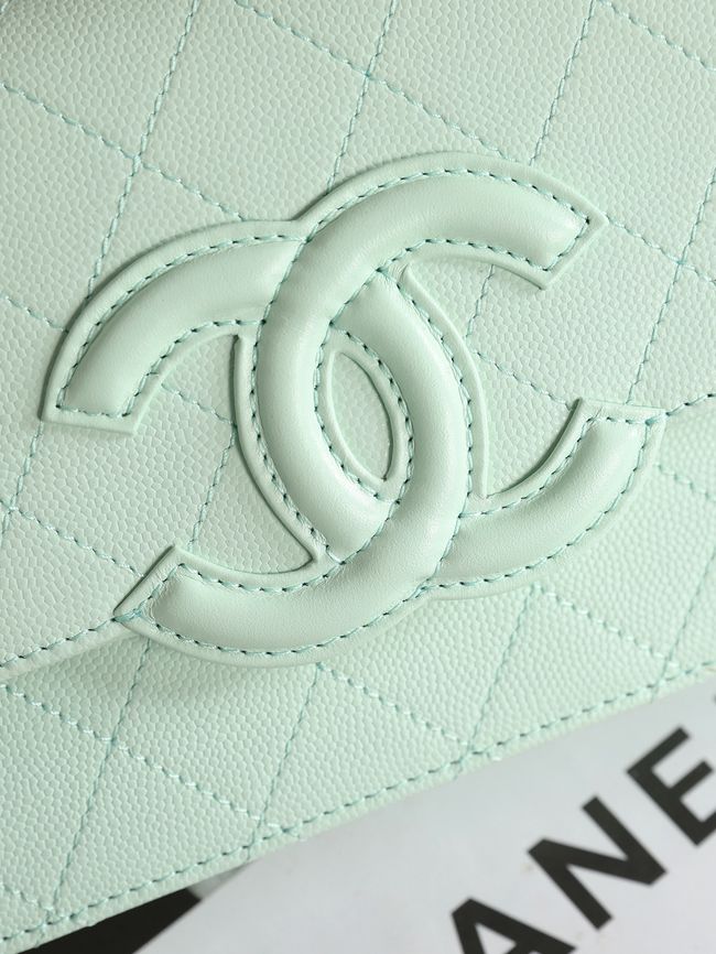 CHANEL Wallet on Chain AP5455 light green CHANEL Wallet on Chain AP5455 light green