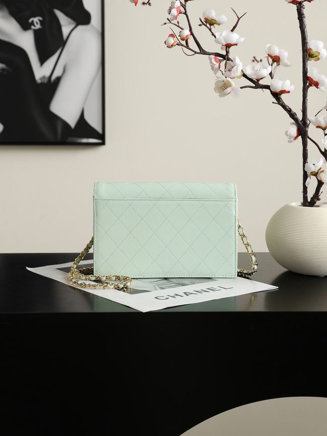CHANEL Wallet on Chain AP5455 light green CHANEL Wallet on Chain AP5455 light green