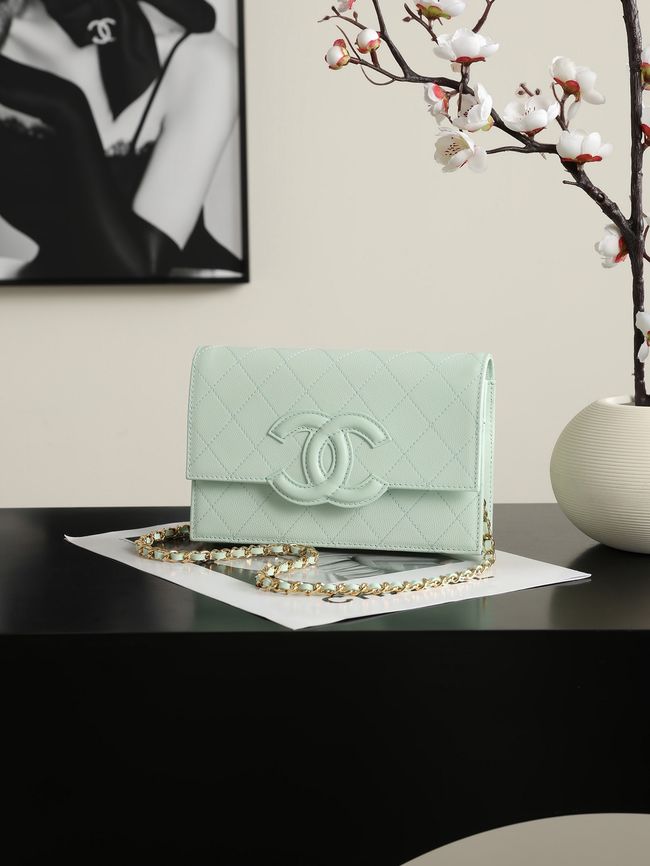 CHANEL Wallet on Chain AP5455 light green CHANEL Wallet on Chain AP5455 light green