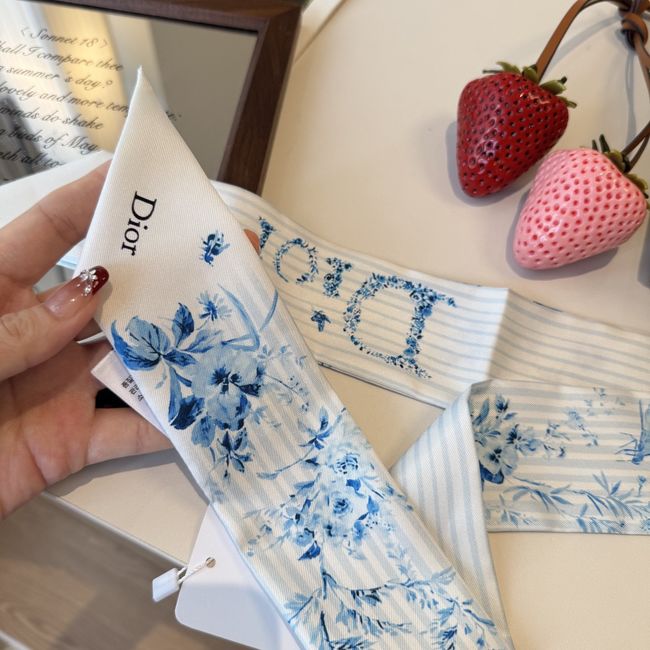 Dior Printed silk twill ribbon KY211-1