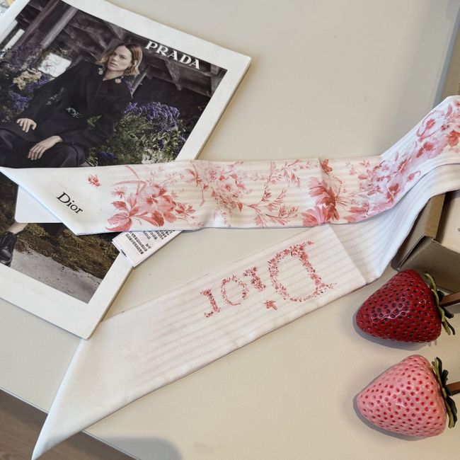 Dior Printed silk twill ribbon KY211-2