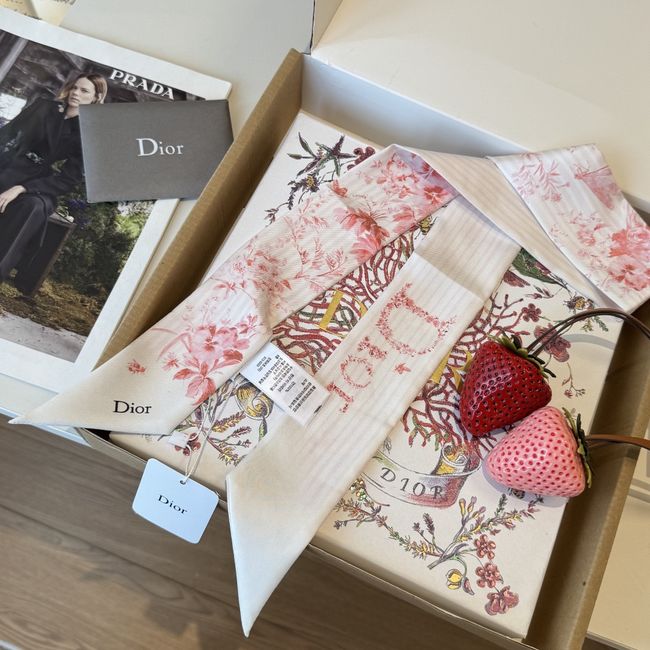 Dior Printed silk twill ribbon KY211-2