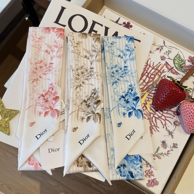 Dior Printed silk twill ribbon KY211-2