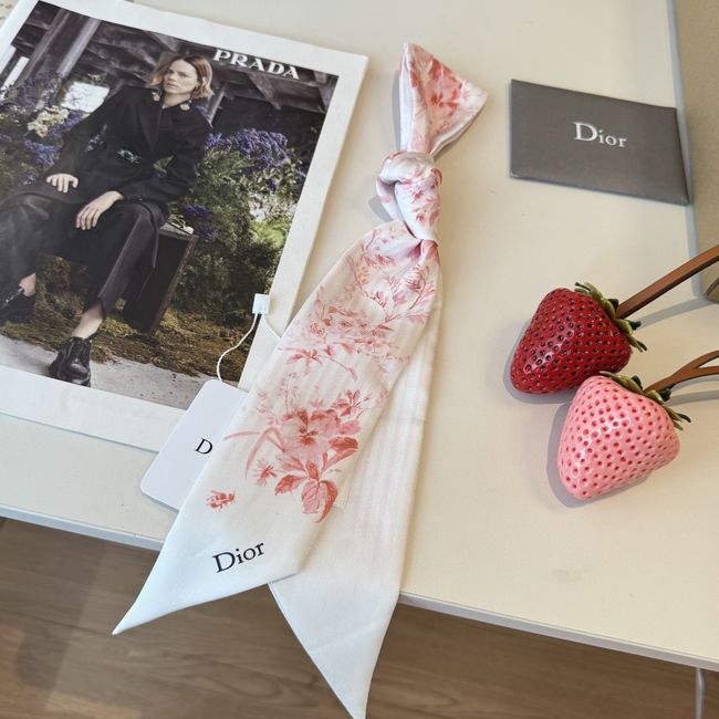 Dior Printed silk twill ribbon KY211-2