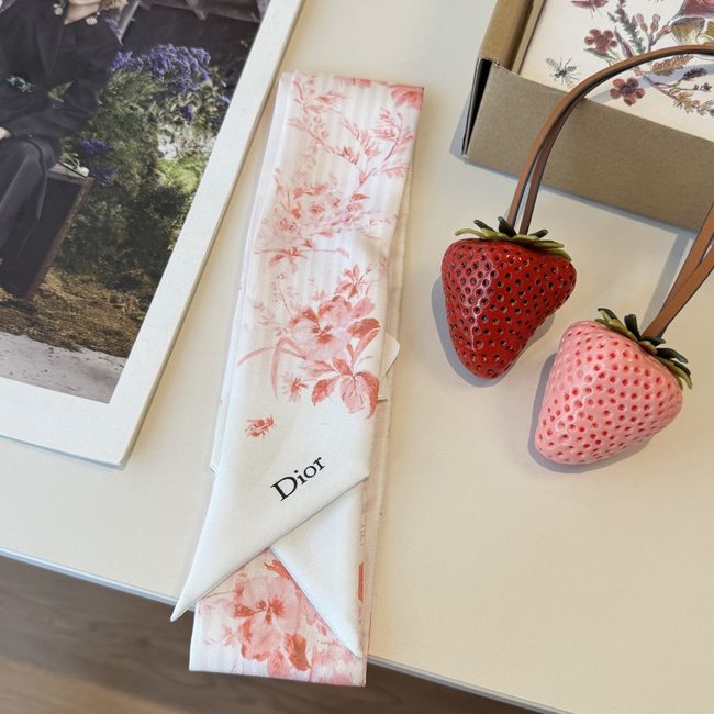 Dior Printed silk twill ribbon KY211-2