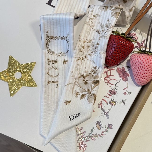 Dior Printed silk twill ribbon KY211-3