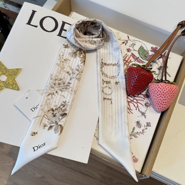 Dior Printed silk twill ribbon KY211-3