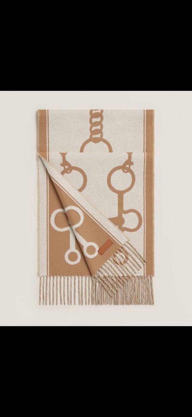 Hermes cashmere scarf H251526-4