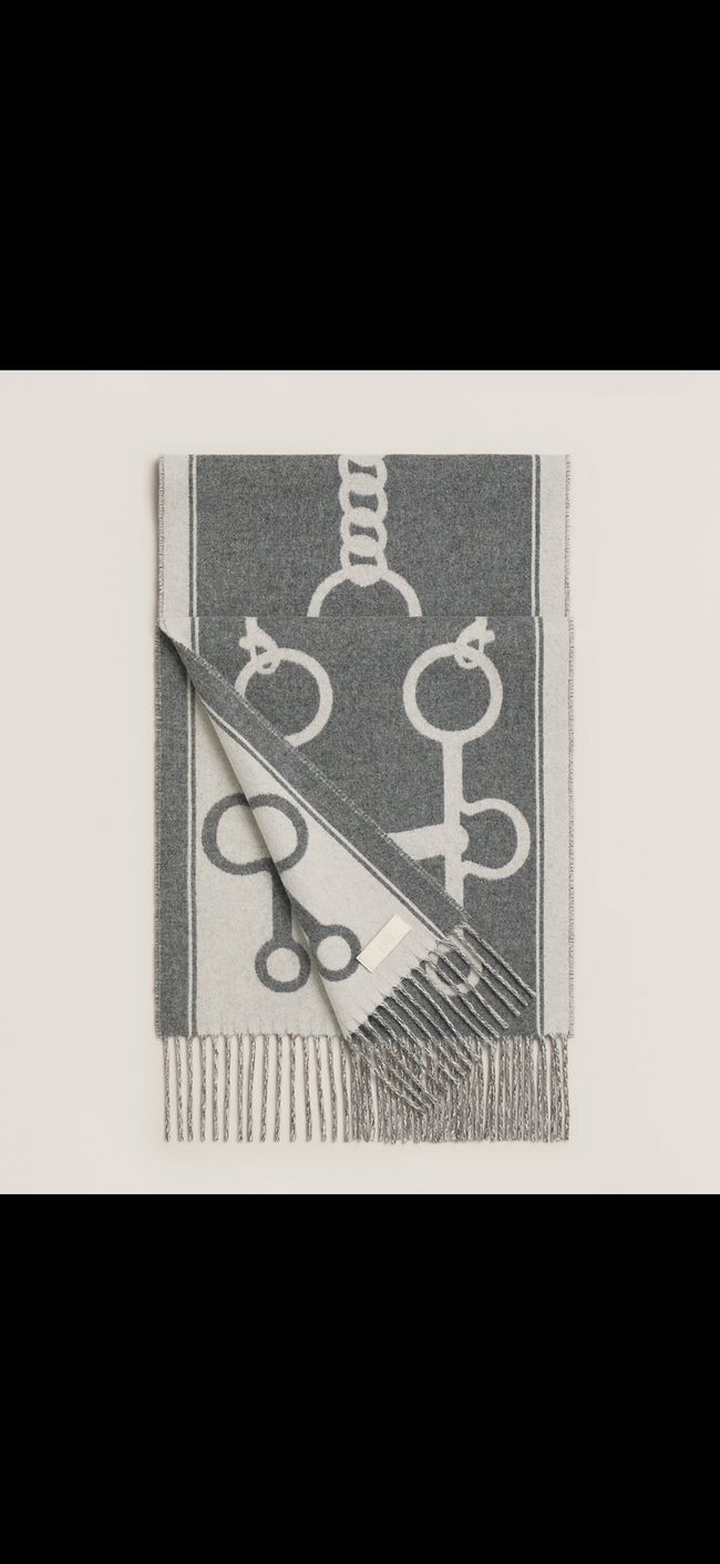 Hermes cashmere scarf H251526-5