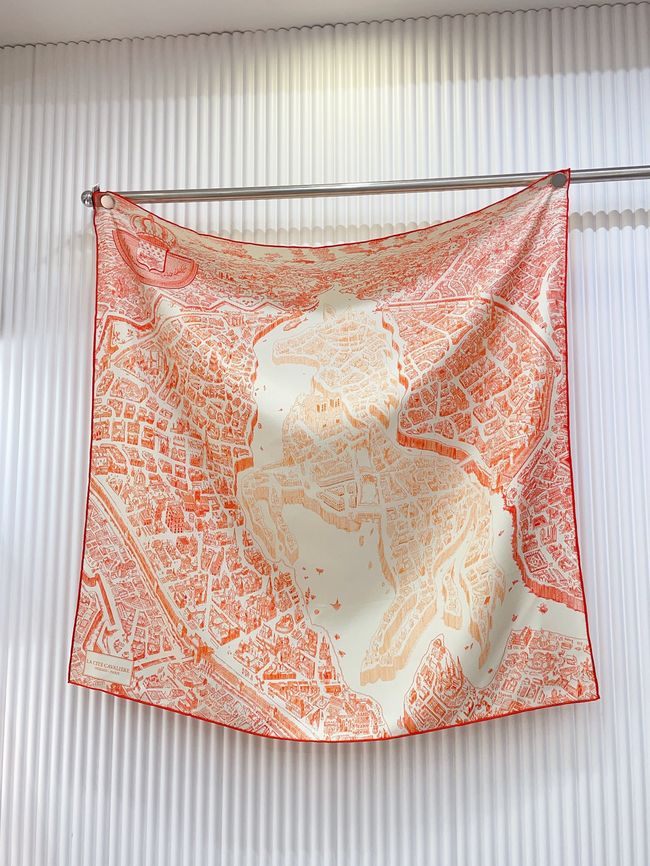 Hermes cashmere scarf H251530-3