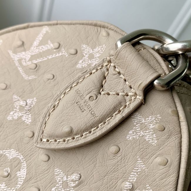 Louis Vuitton Runway Speedy P9 Bandouliere 30 M24425 Dark Beige