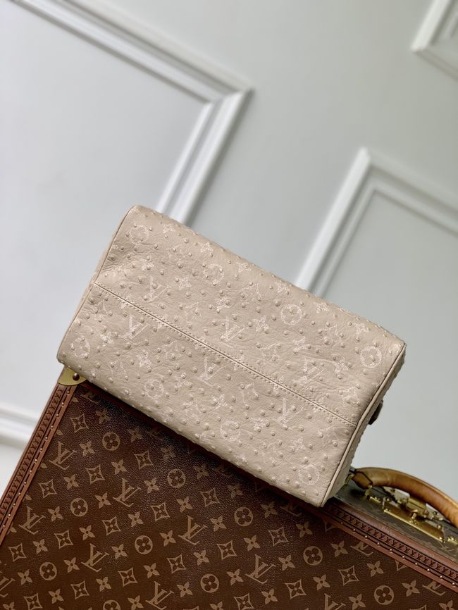 Louis Vuitton Runway Speedy P9 Bandouliere 30 M24425 Dark Beige
