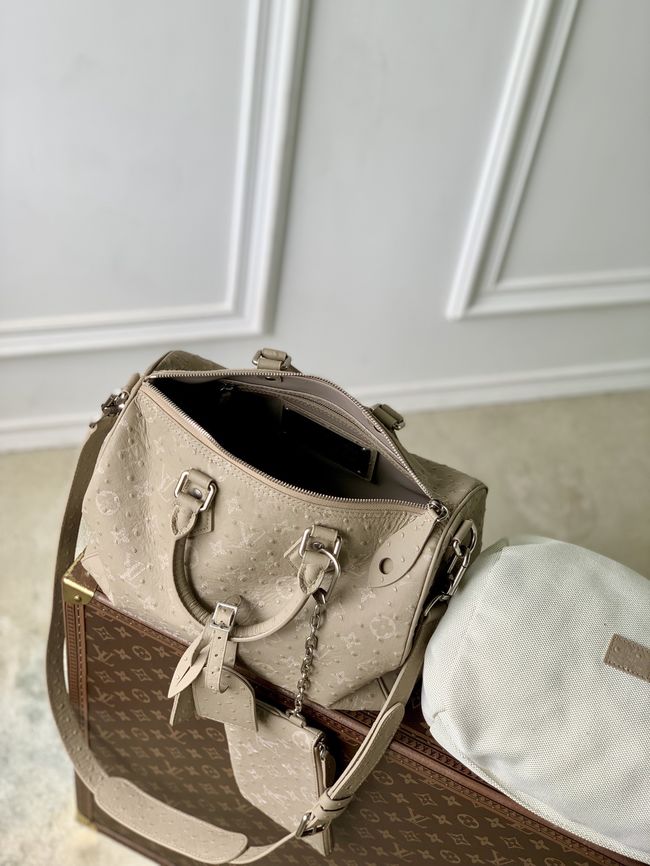 Louis Vuitton Runway Speedy P9 Bandouliere 30 M24425 Dark Beige