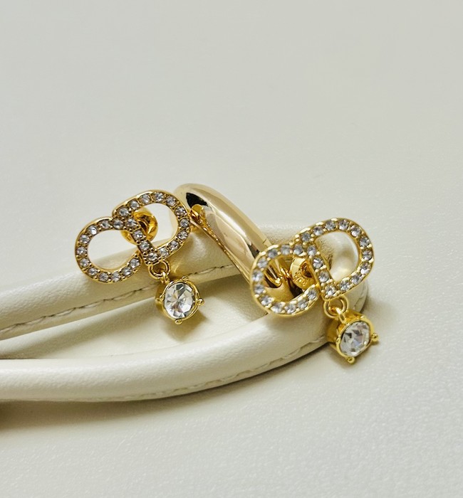 Dior Earrings CE89993